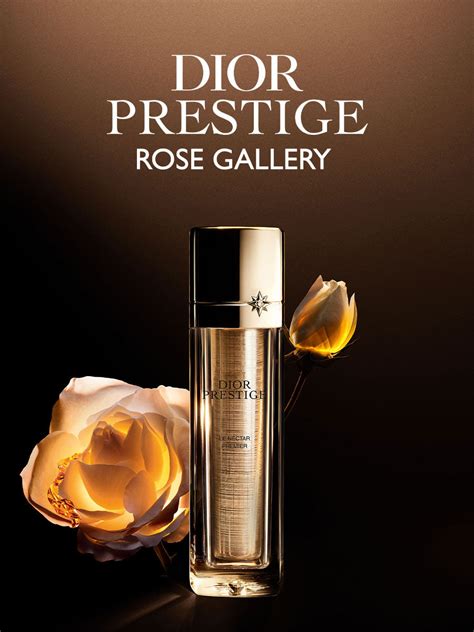 Dior prestige rose gallery